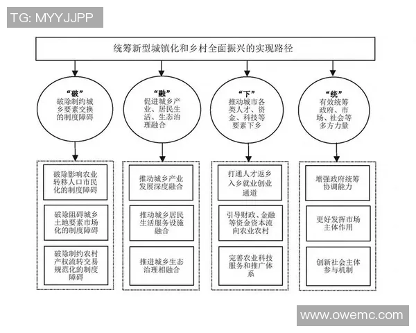 高姓足球的崛起与发展探索中国足球新未来的路径与挑战