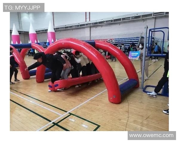 让您的宠物快乐运动宠物足球玩具助力健康生活与亲密互动